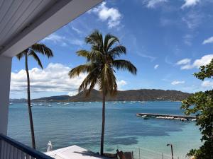 a view of a beach with palm trees and boats at Hotel-Restaurant La Dunette in Sainte-Anne
