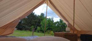 a tent with a view of a field and trees at Camping à la Ferme de la Marette in Gluiras