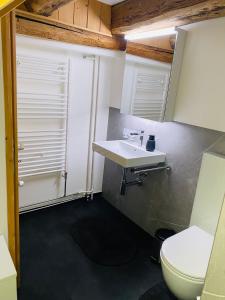 a bathroom with a sink and a toilet at Chesa Margadant in Zuoz +18 photos