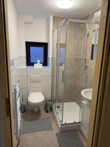 a bathroom with a shower and a toilet and a sink at Haven Lodge Komfortable Unterkunft für Monteure, Firmen und Gruppen in Bremerhaven in Bremerhaven