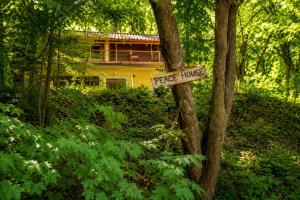 a sign on a tree in front of a house at Peace House in Esztergom
