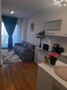 a living room with a blue couch and a kitchen at Apartament Camelia in Saturn