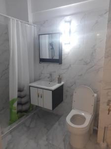 a bathroom with a toilet and a sink and a mirror at Apartament Camelia in Saturn +14 photos