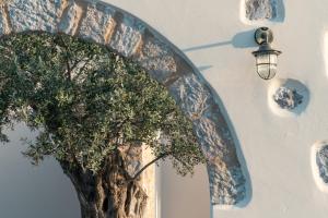 a tree on the side of a building with a street light at Elion Private Pool Villas in Kos
