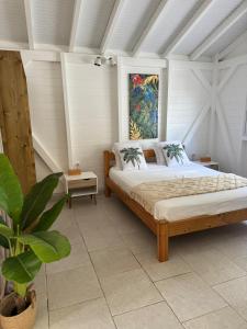 a bedroom with a bed and a potted plant at Tropical Lodge in Petit-Bourg +8 photos
