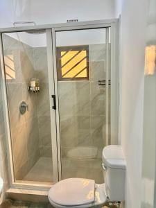 a bathroom with a shower and a toilet at Black-Oak Apartments in Lusaka +9 photos