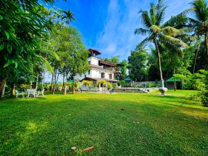 a house with a palm tree in a yard at Breezy River in Kalutara