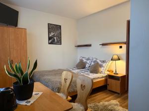 a bedroom with a bed and a table and chairs at U Hajduka in Murzasichle