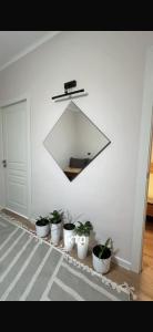 a group of potted plants in a room with a mirror at BonHome квартиры in Bulan Sogottuu