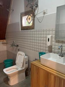a bathroom with a toilet and a sink at Clifton Chapter Cottage Tirthan in Banjār