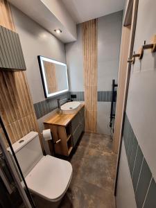 a small bathroom with a toilet and a sink at Pokoje, apartament NA WYSPIE in Sobieszewo +73 photos