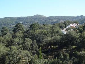 a house in the middle of a forest of trees at Hospedaria Descansa Pernas in Monchique
