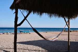 a hammock hanging from a straw umbrella on a beach at Galuma magbul camp in Dahab