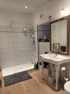 a bathroom with a sink and a shower and a mirror at Fleur de Lys - Free wi-fi & parking in La Haye