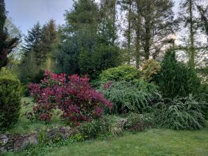 a garden with colorful flowers and trees at Fleur de Lys - Free wi-fi & parking in La Haye +3 photos