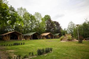 a group of tents in a field with trees at Minicamping Het Zuiderscheveld in Hollandscheveld