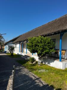 a building with a tree in front of it at Casa 9 in Sfântu Gheorghe