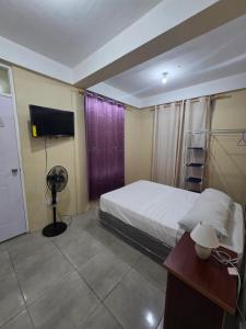 a hotel room with a bed and a television at Barefoot Apartments in Roseau
