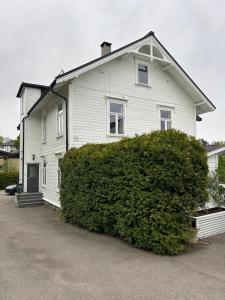 ein weißes Haus mit einem großen Busch davor in der Unterkunft Sommerfryd in Oslo