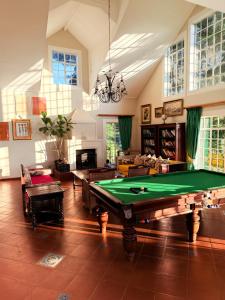 a living room with a pool table in it at Diggersrest Lodge in Haenertsburg