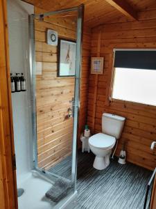 a bathroom with a toilet and a shower in a cabin at Emili Fois in Tore