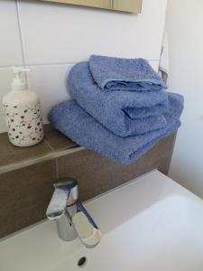 Galeriebild der Unterkunft Paradiesli am Hochrhein in Rheinfelden + 56 Fotos