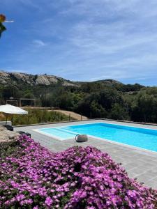 a swimming pool with purple flowers in front of it at Agriturismo Lu Branu in Arzachena