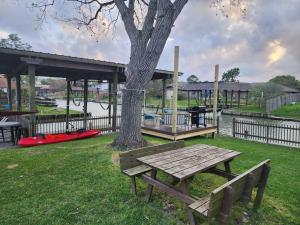 a picnic table and a tree in a park at H20 paradise in Texas City