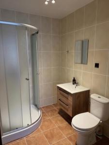 a bathroom with a shower and a toilet and a sink at okuninkanoclegi in Okuninka