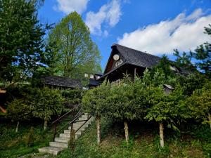 a house on a hill with stairs in front at Chalupa pod Skleným Vŕškom in Huty