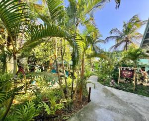 a path through a tropical garden with palm trees at The Jungle Hotel and Bar in Bocas Town