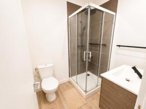 a bathroom with a shower and a toilet and a sink at Loft lumineux & cosy sous les toits in Roubaix +5 photos