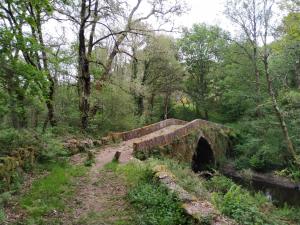 an old bridge in the middle of a forest at Casa YaraMaya in Carballino