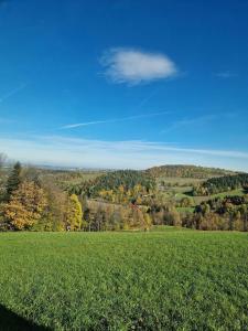 a large green field with trees in the background at Domek u Krzyśka in Słopnice