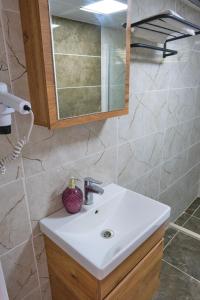 a bathroom with a sink and a mirror at Ekin Assos in Sokakagzi