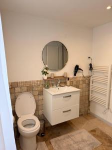 a bathroom with a toilet and a mirror at Le petit nid provençal in Sorgues +7 photos