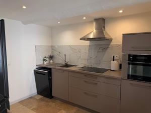 a kitchen with a sink and a stove at Le petit nid provençal in Sorgues