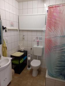 a small bathroom with a toilet and a sink at Ferienwohnung Familie Rudolf in Coswig