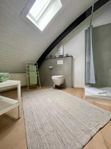 a attic room with a toilet and a rug at Urlaubsschmiede Mosel in Traben-Trarbach +15 photos