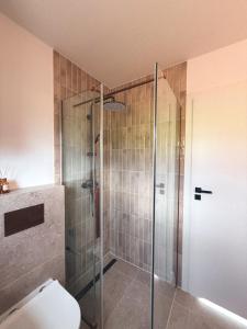 a bathroom with a glass shower with a toilet at Ostoja Janowice in Janowice +16 photos