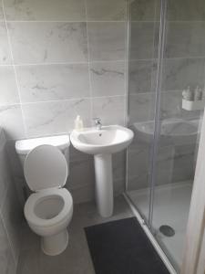a bathroom with a toilet and a sink and a shower at The Old Cowhouse in Falleens +9 photos