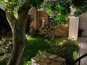 a garden with a tree and green grass at Casa Marisella in San Teodoro