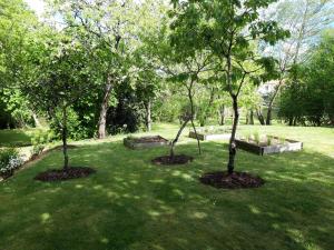 two trees in a park with benches in the grass at La terrasse du romarin in Gorges