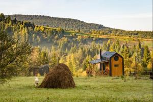 a small house in a field with a haystack at Silence cabin in Myta