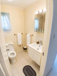 a bathroom with a toilet and a sink and a mirror at Kenridge Residences in Saint James +25 photos