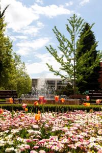 a field of flowers in front of a fountain at Студио 8 Уютна Почивка in Hisarya