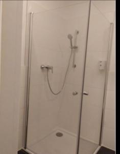 a shower with a glass door in a bathroom at Mozart Salzburg Residence in Salzburg +9 photos