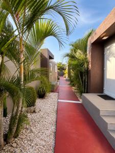 a red carpet path in front of a house with palm trees at Valfe Apartments in Palm-Eagle Beach