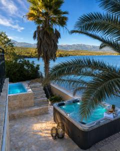 a pool with stairs and a palm tree and water at Villa Jasmin Posedarje in Posedarje