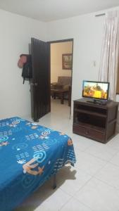 a bedroom with a bed and a tv in it at Ginebramagico in Ginebra